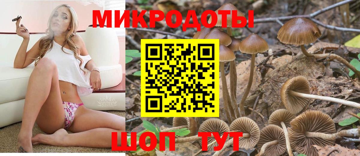 Псилоцибиновые грибы ЛСД  Псилоцибиновые грибы Cubensis  наркотики  Вичуга  Вход с VPN 